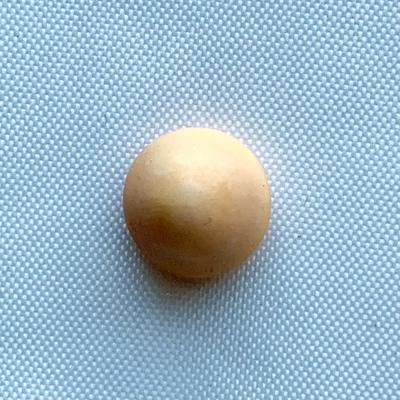 Rare Quahog Pearl - Peach colored Button