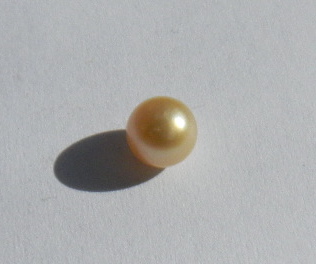 Rare round golden natural pearl