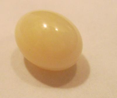 2.18 carat conch pearl