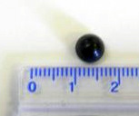 Blue Mussel Pearl from Hudson Strait in Northern Quebec Blue Mussel Pearl from Hudson Strait in Northern Quebec