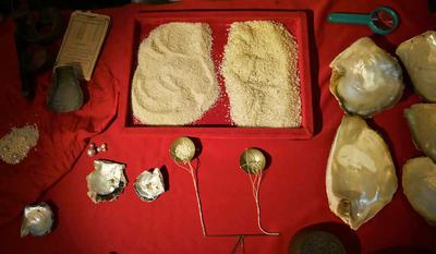 History of Red Sea Pearling