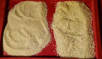 History of Red Sea Pearling