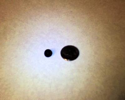 Round & Black Abalone Pearl