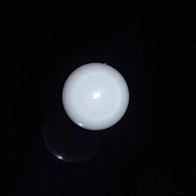 Round Clam Pearl 4.7 ct