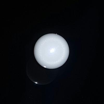 Round Clam Pearl 4.7 ct