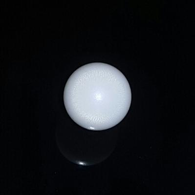 Round Clam Pearl 4.7 ct