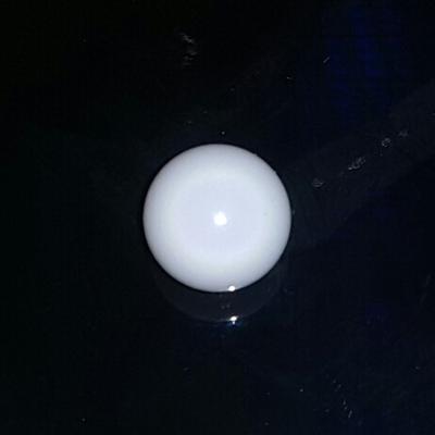 Round Clam Pearl 5 ct