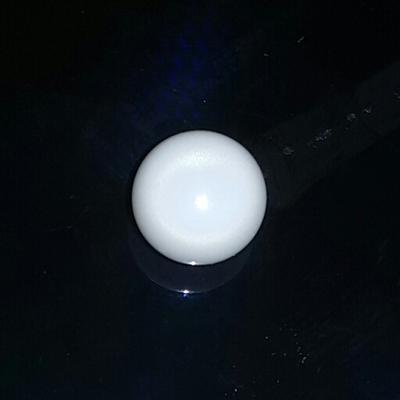 Round Clam Pearl 5 ct