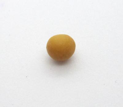 Round Yellow Conch Pearl 5mm