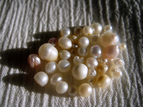 Round Natural Pearls