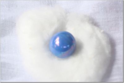 Royal Blue pearl found in Bay of Fundy