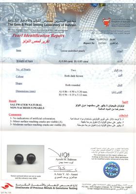 Salt Water Natural Dark Brown Pearl Earrings - Certificate