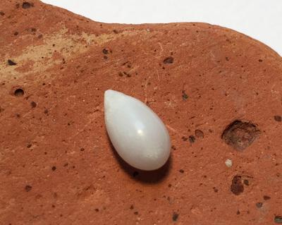 Saltwater Drop Pearl with Flame 1.85 carats