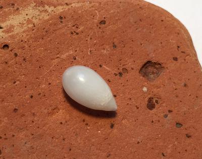 Saltwater Drop Pearl with Flame 1.85 carats