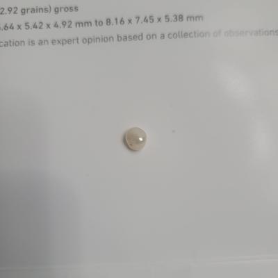 Saltwater Natural Pearl from Venezuela Baroque 7mm