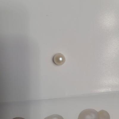 Saltwater Wild Natural Pearl from Venezuela 1+carat Button Shape