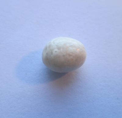 Scallop Pearl 2.35 carats Oval Shape