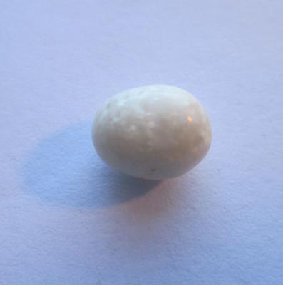 Scallop Pearl 2.35 carats Oval Shape