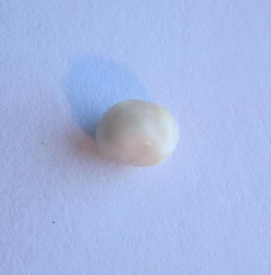 Scallop Pearl Brownish White 5mm Oval Baroque