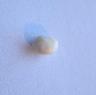 Scallop Pearl Brownish White 5mm Oval Baroque