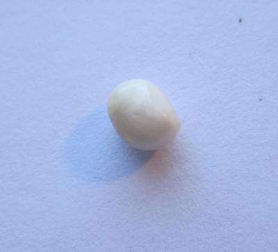 Scallop Pearl Brownish White 5mm Oval Baroque