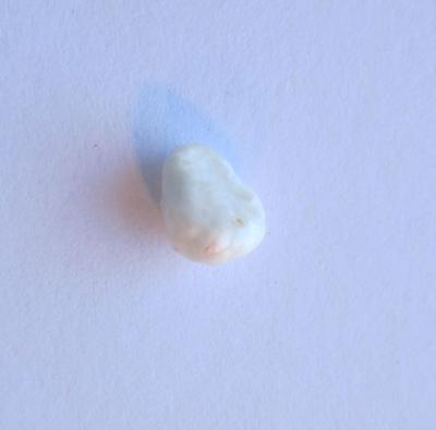 Scallop Pearl White Baroque with Flame 6mm