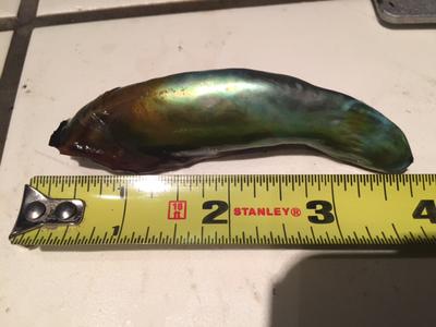 Ab Pearl 191Ct x 95mm x 25mm 