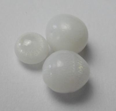 Set of 3 Clam Pearls 4+ carats for Sale