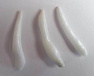 Set of 3 Long Drop Clam Pearls 28+mm for Sale