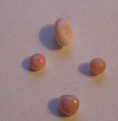 Set of Four Conch Pearls - Light Pink