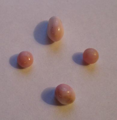 Set of Four Conch Pearls - Light Pink