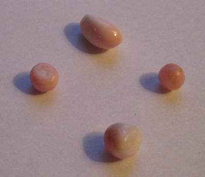 Set of Four Conch Pearls - Light Pink