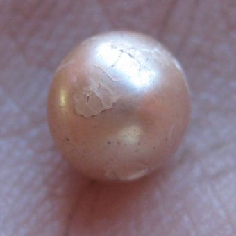Pearl from the Kimberly is 2,000 years old