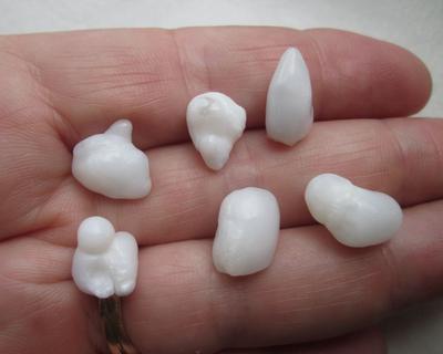 Six Baroque Natural Clam Pearls for Sale 36+ carats Total