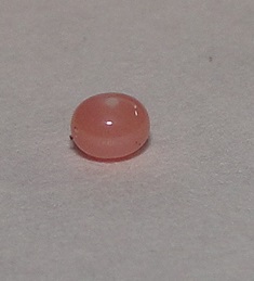 Brown-Red Conch Pearl for Sale