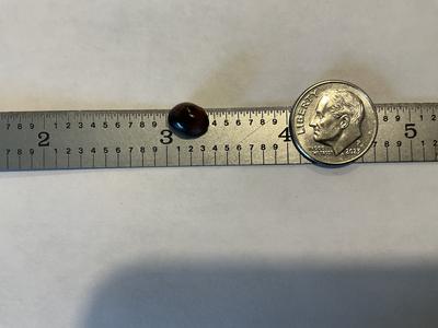 South County Rhode Island Quahog Pearl Found