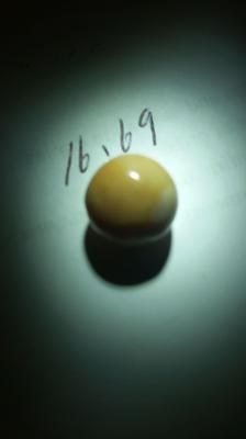 16.69 carats Spiny Pearl