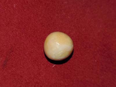 16.69 carats Spiny Pearl