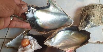 Struggling Thai Fisherman Finds Rare Melo Pearl 