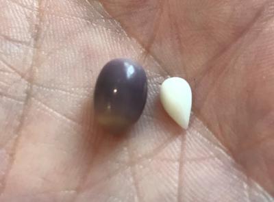 5.03 ct Quahog Pearl