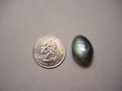 Large Oval Abalone Pearl
