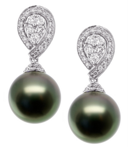 Tahitian Pearl Earrings