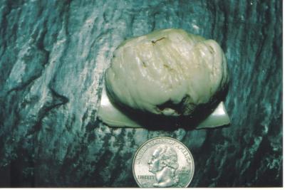 The Cache Creek Pearl