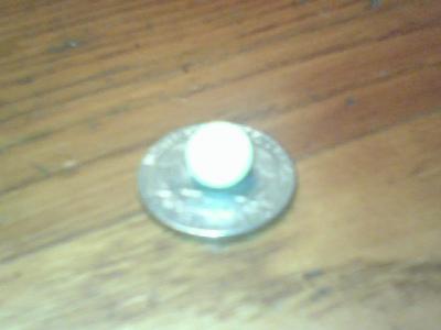 Quahog Pearl on Quarter
