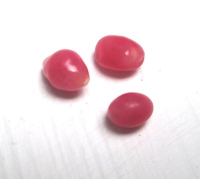 Three Conch Pearls 1+ carats Dark Pink Ovals