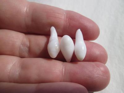 Three Drop Clam Pearls 14 carats - Total for Sale