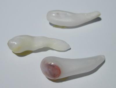 Three Drop Clam Pearls 25 carats total for Sale