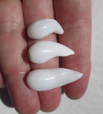 Three Drop Shaped Clam Pearls 44+ carats - Total