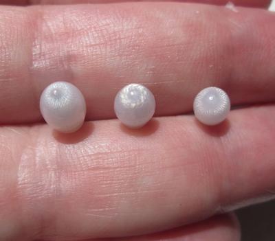 Three Flame Filled Clam Pearls 5+ carats Total Oval Shape