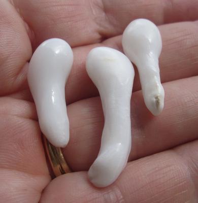 Three Large Wonderful Clam Pearl Drops 43+ carats 26 - 42mm